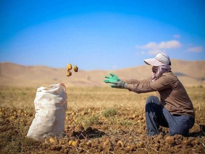 راه‌های نفوذ صنعت کشاورزی به خارج از مرزها