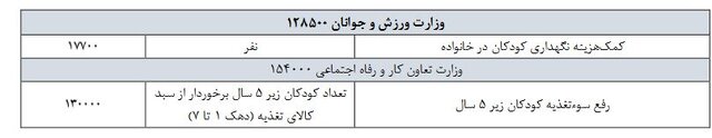 پیشنهاد راه اندازی سامانه صدور «شناسه» ویژه مادران دارای سه فرزند و بیشتر