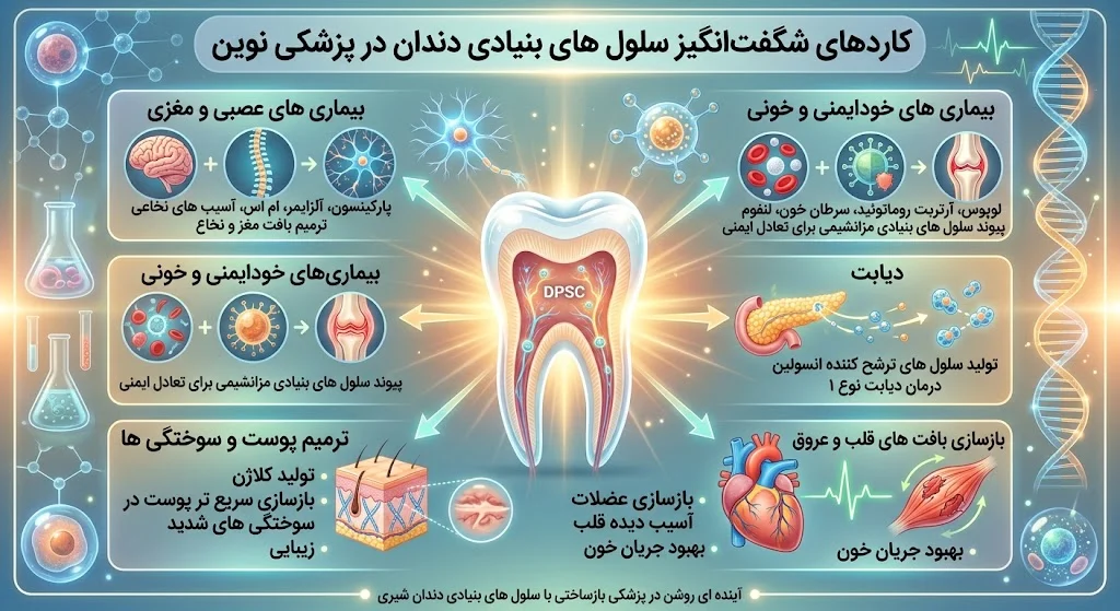 دندان شیری را دور نیندازید