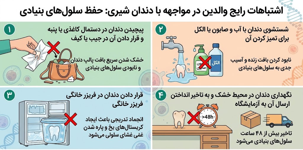 دندان شیری را دور نیندازید